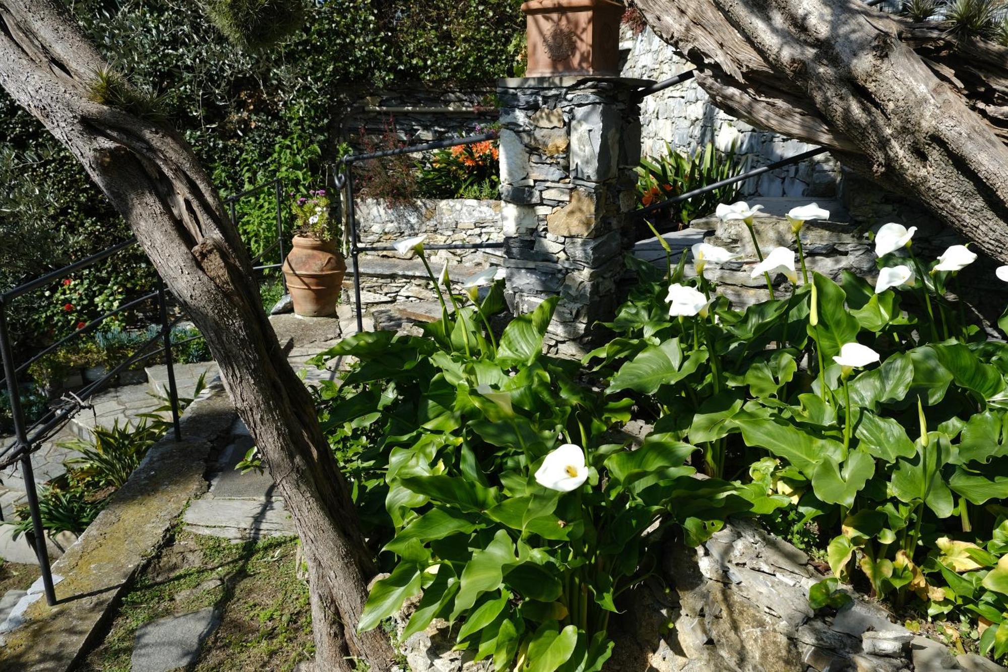 L'Alcova Tra Gli Ulivi By Portofinovacanze Zoagli Exterior foto